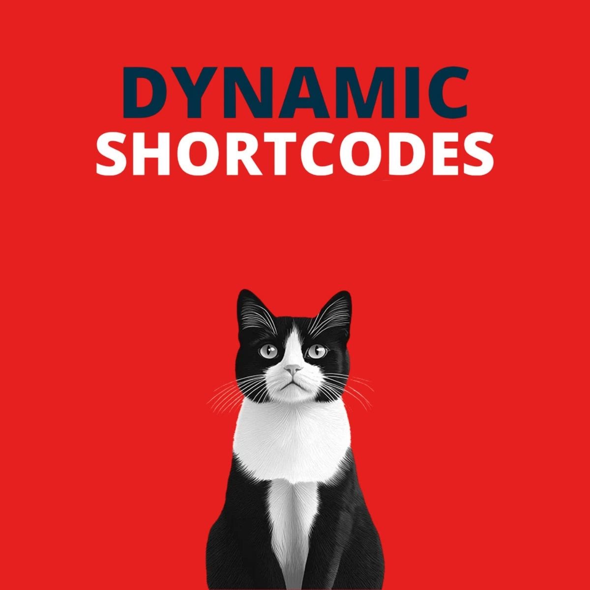 Dynamic Shortcodes WordPress plugin preview