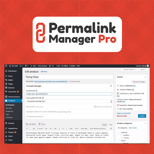 Permalink Manager Pro WordPress plugin preview