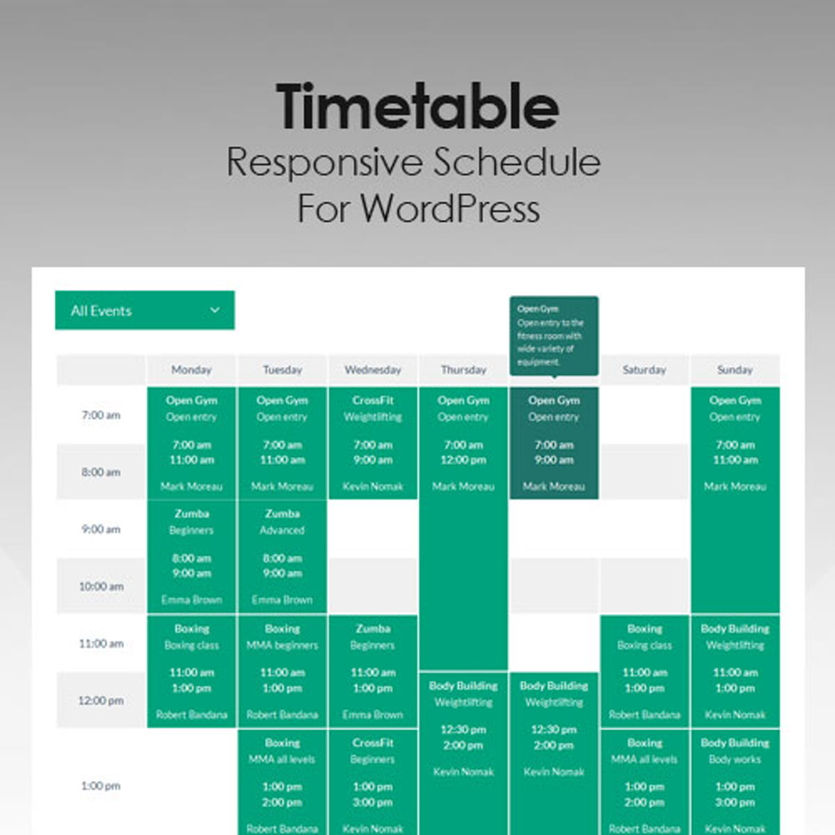 Timetable Responsive Schedule For WordPress WordPress plugin preview