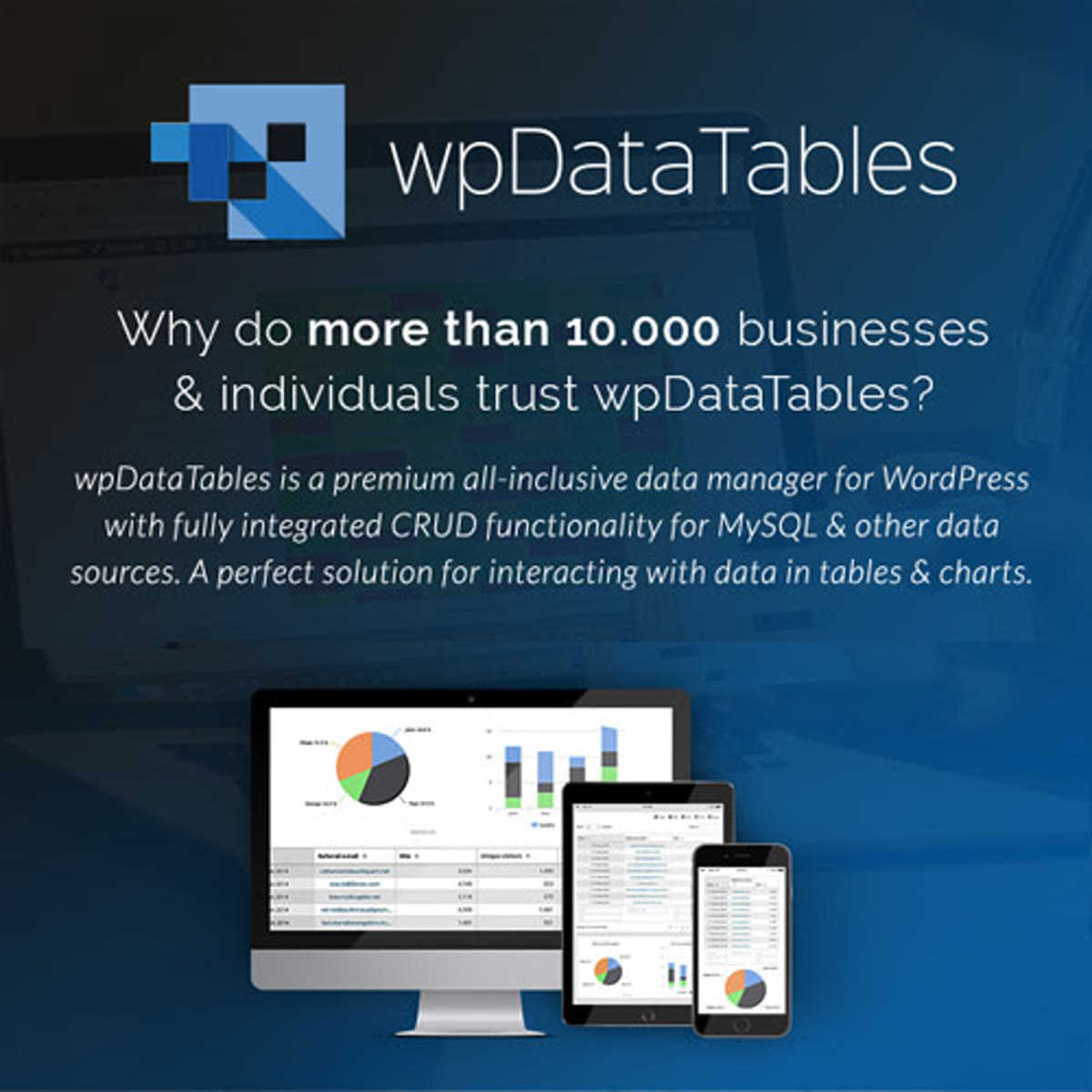 wpDataTables WordPress plugin preview