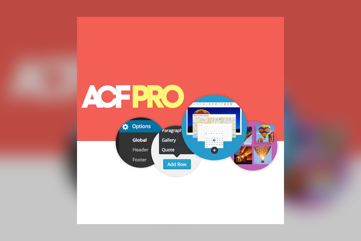 Advanced Custom Fields Acf Pro WordPress plugin preview