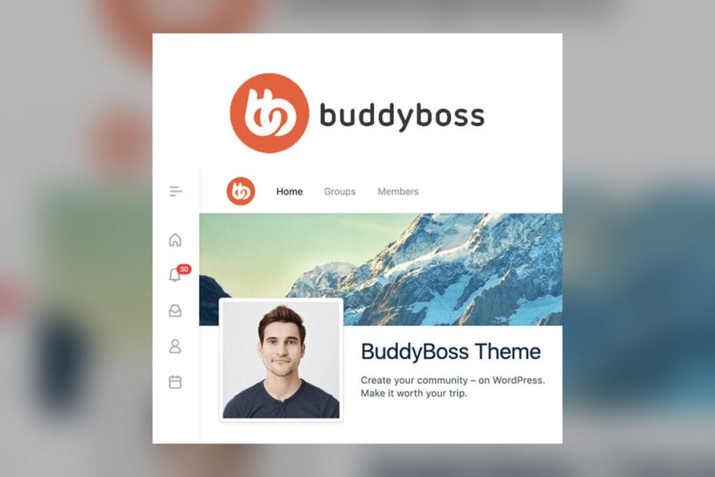 BuddyBoss Theme theme preview