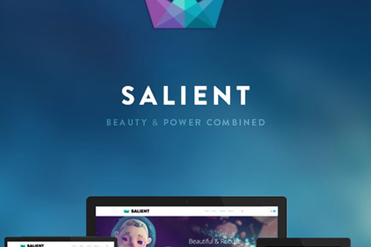 Salient - Responsive Multi-Purpose Theme theme preview
